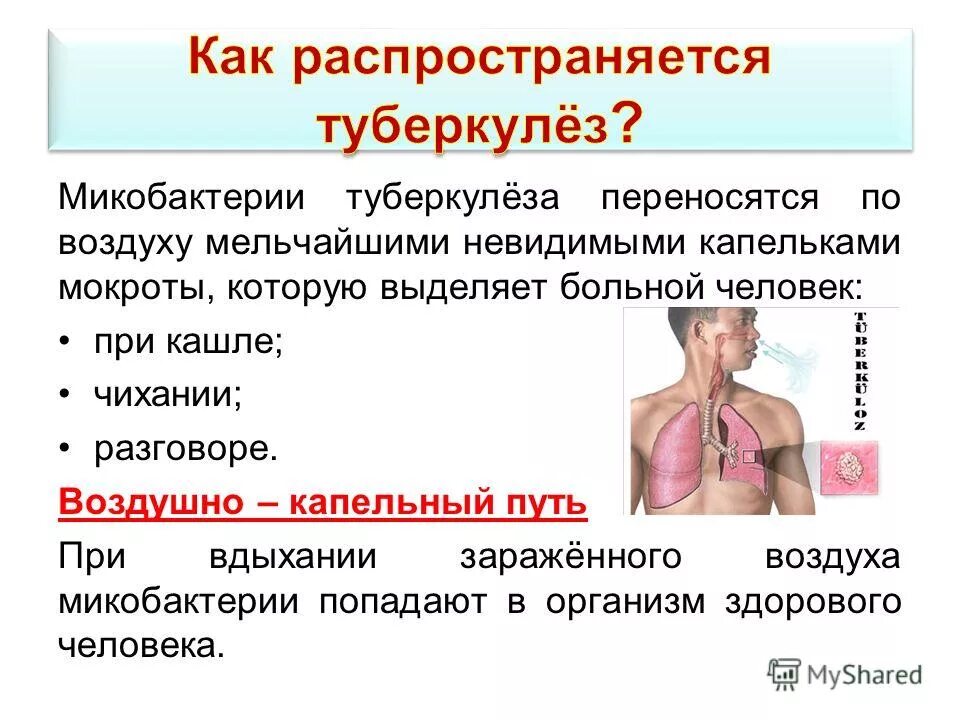 Как называется туберкулезная. Туберкулёз – опасная болезнь. Поражение органов туберкулезом. Инфекционные заболевания легких. Цирротический туберкулез.