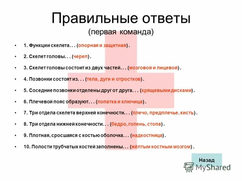 Основные функции скелета человека. Выберите правильные ответы функции скелета. Каковы функции костей скелета человека. Выберите правильные ответы функции скелета. Функции костей скелета человека.