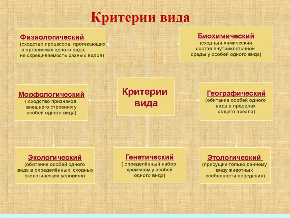 Физиологические признаки особей. Признаки экологического и морфологического критерия.