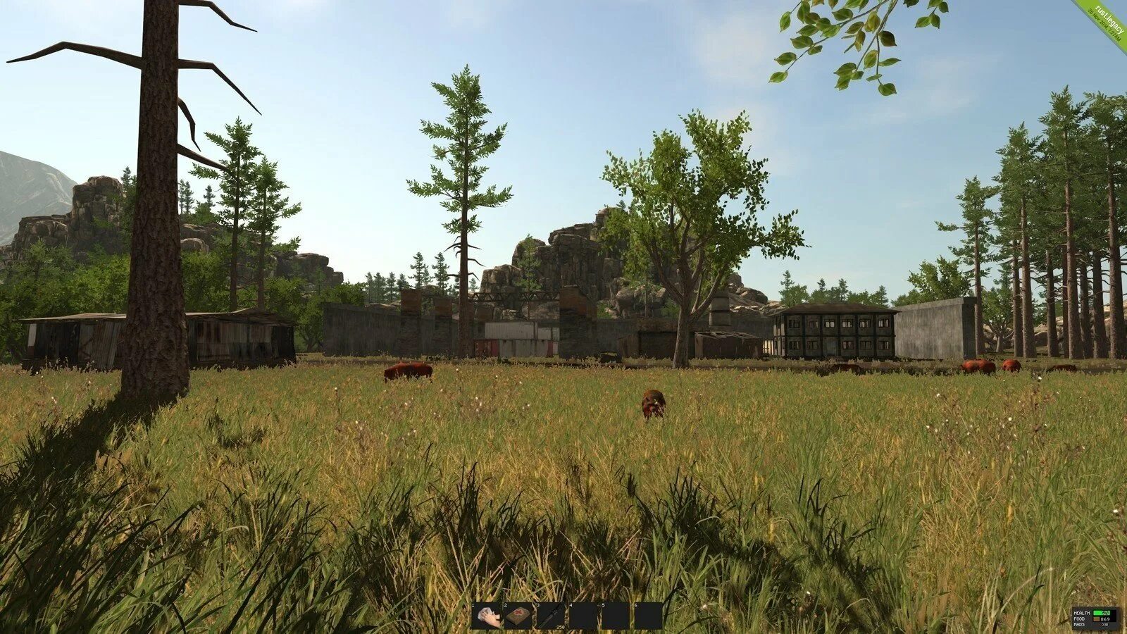 Rust cargo. Раст Легаси. Раст 2013 Legacy. Движок раст Легаси. Старый Rust Legacy.