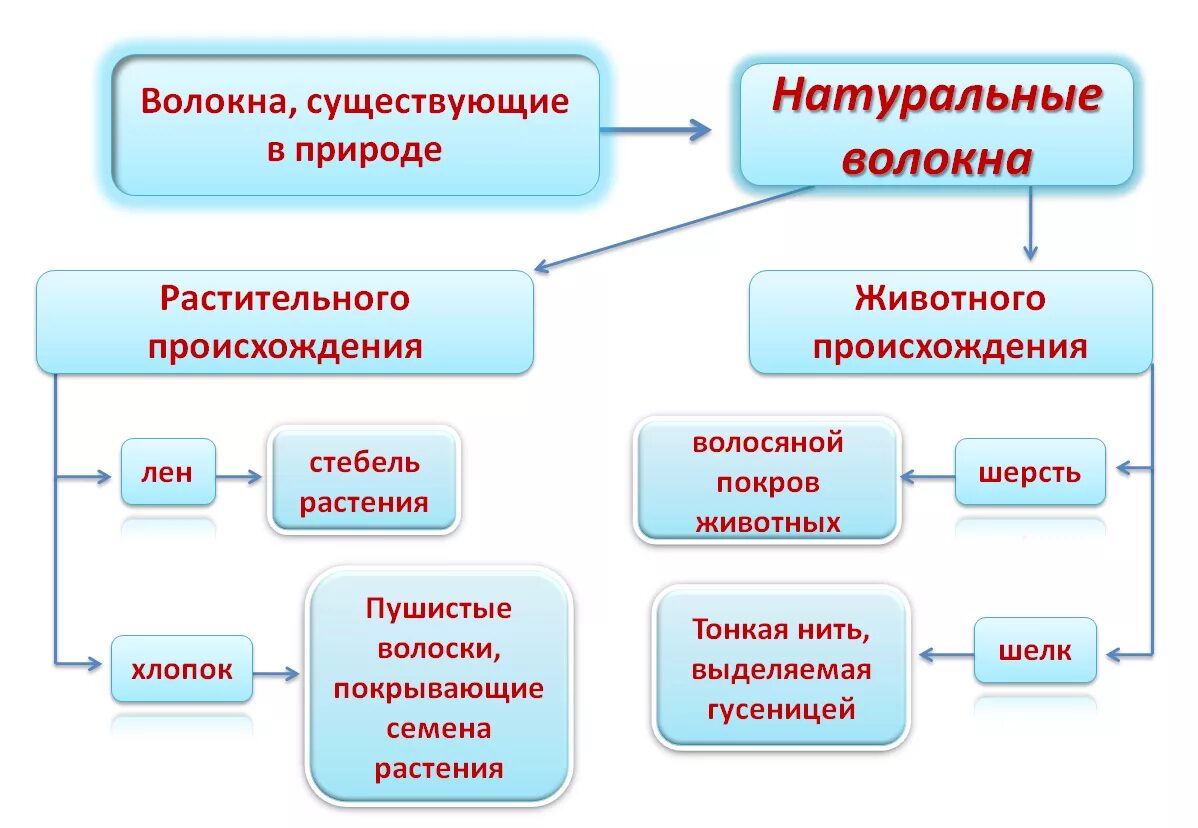 Хлопок растительного происхождения. Схема натуральных волокон животного происхождения. Натуральные волокна растительного происхождения 5 класс технология. Натуральные волокна животного и растительного происхождения 5 класс. Классификация натуральных волокон растительного происхождения.