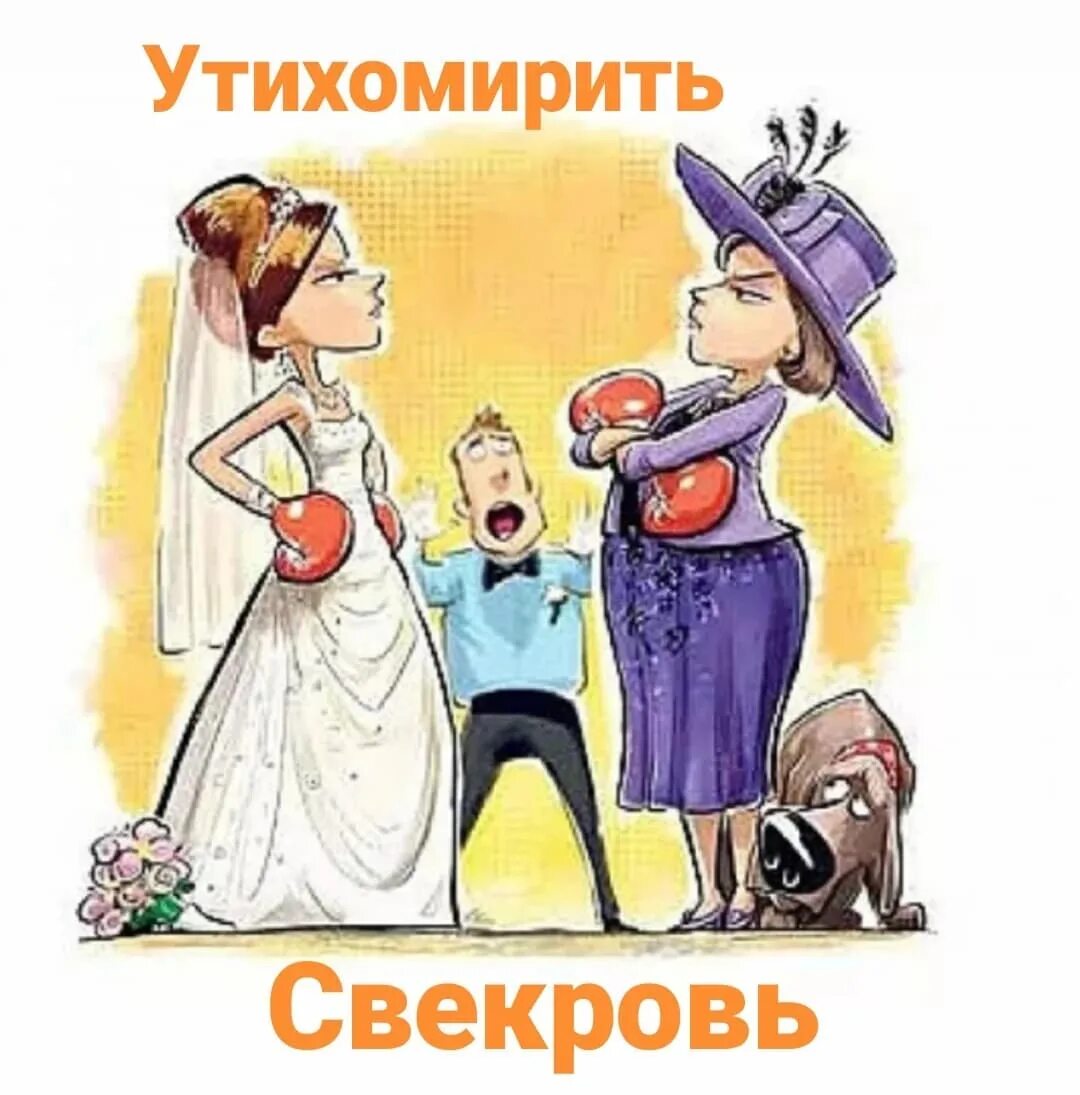 Приезд свекрови