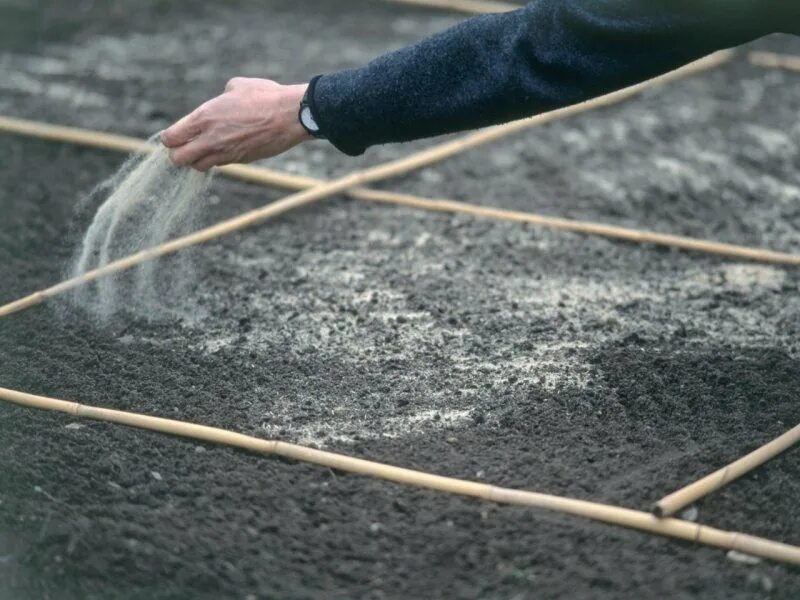Как засеять газон. Засеивание газона. посев газона. сеяный газон. посев газонной травы.