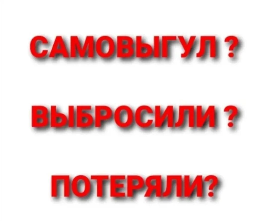 Чья потеряшка картинки. Потеряный или потерянный как правильно писать. Потеряный или потерянный как правильно писать. Потеряный или потерянный как правильно писать. Потеряный или потерянный как правильно писать.