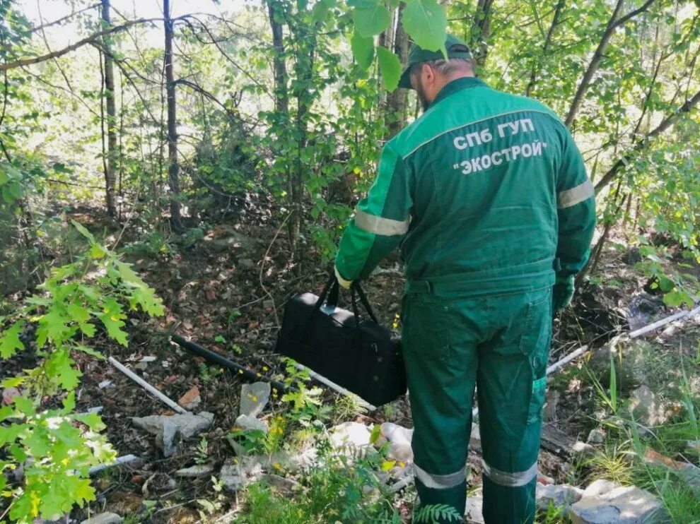 Экологическая служба. Экологические службы России. Служба экологической безопасности. Экологические службы рф