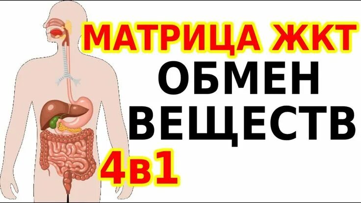 Гаряев жкт слушать. Матрица гаряева жкт. матрица для кишечн ютуб. слушать матрицу гаряева для печени. матрица гаряева исцеление жкт отзывы.