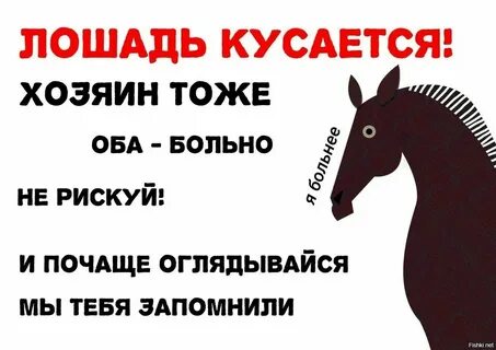 Что выберут хозяева