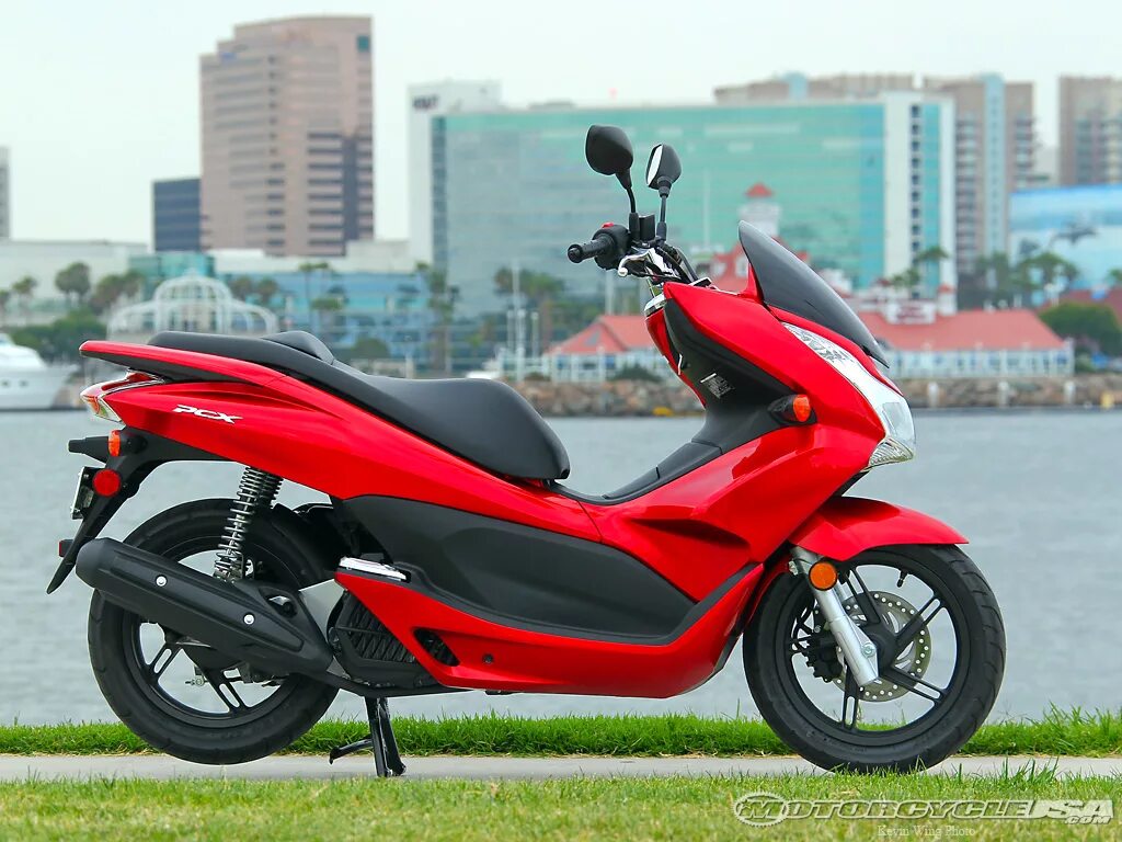 Скутер Honda PCX 125. Honda PCX 50 кубов. Honda PCX 125 куб. Скутер Honda PCX 50.