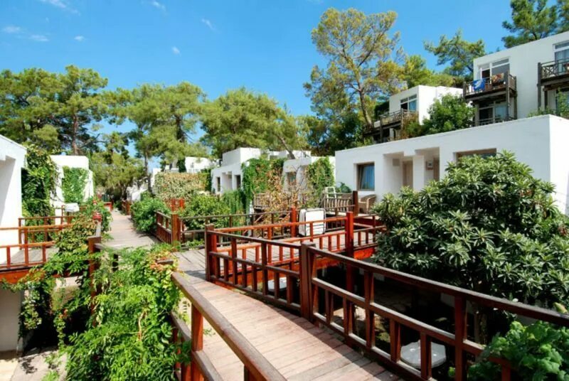Фазелис роуз турция кемер. Club hotel phaselis rose 5 текирова. Турция club hotel phaselis rose 5* текирова, кемер. Club phaselis rose 5 текирова. Фазелис розе 5 турция кемер.
