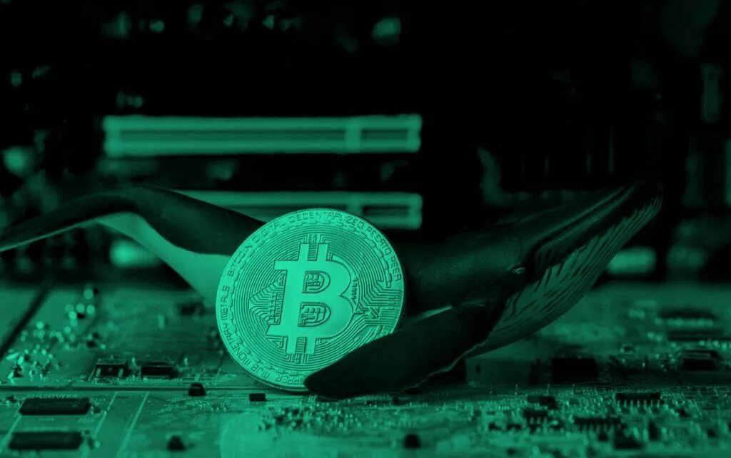 Top 10 bitcoin whales part. Биткоин в воде. фото на рабочий стол bitcoin. стирка биткоинов.