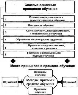 В систему принципов обучения включают принципы