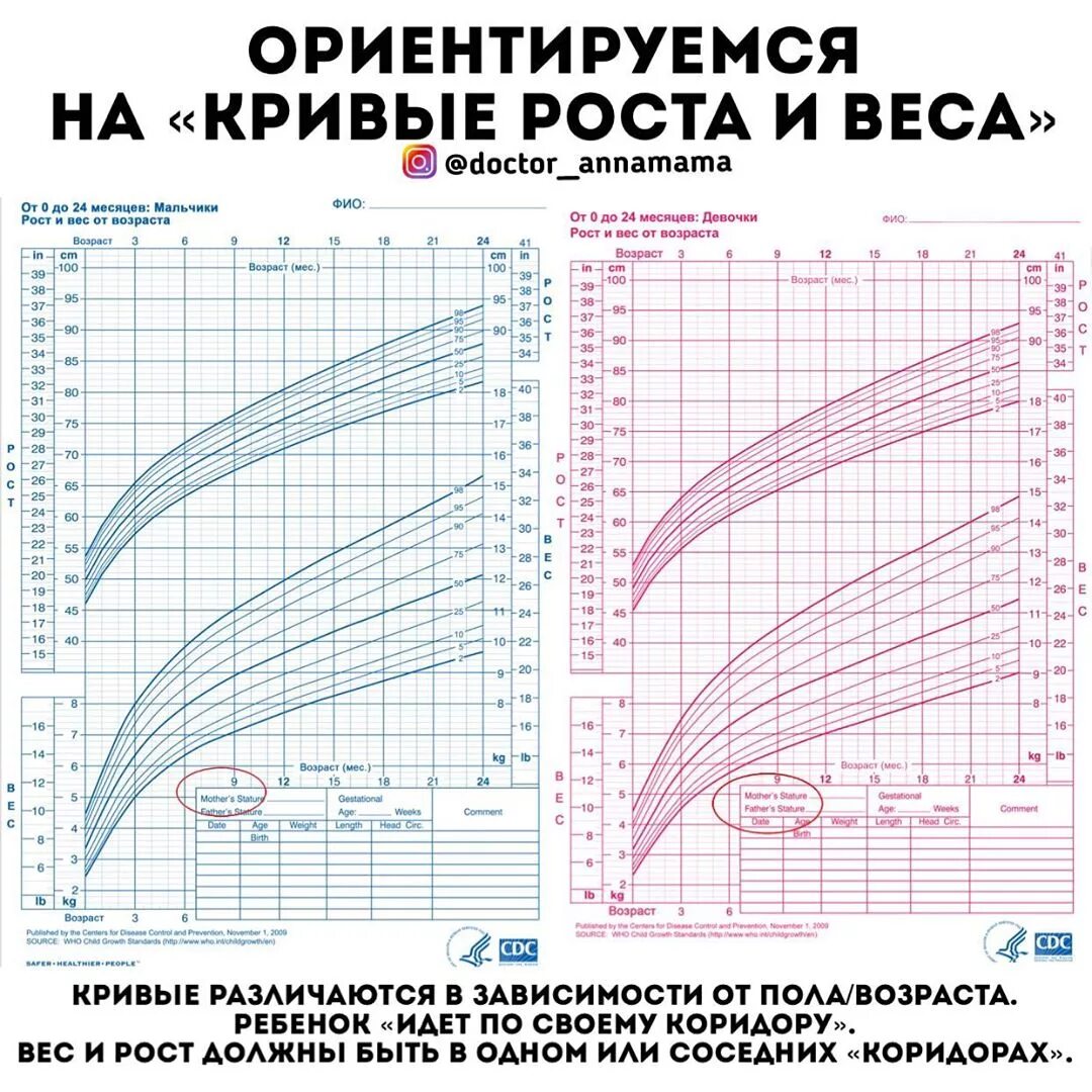 Вес ребенка до года. Нормы веса воз для мальчиков. Нормы по весу для детей до года воз таблица. График рост вес до года. Нормы веса детей до года воз.