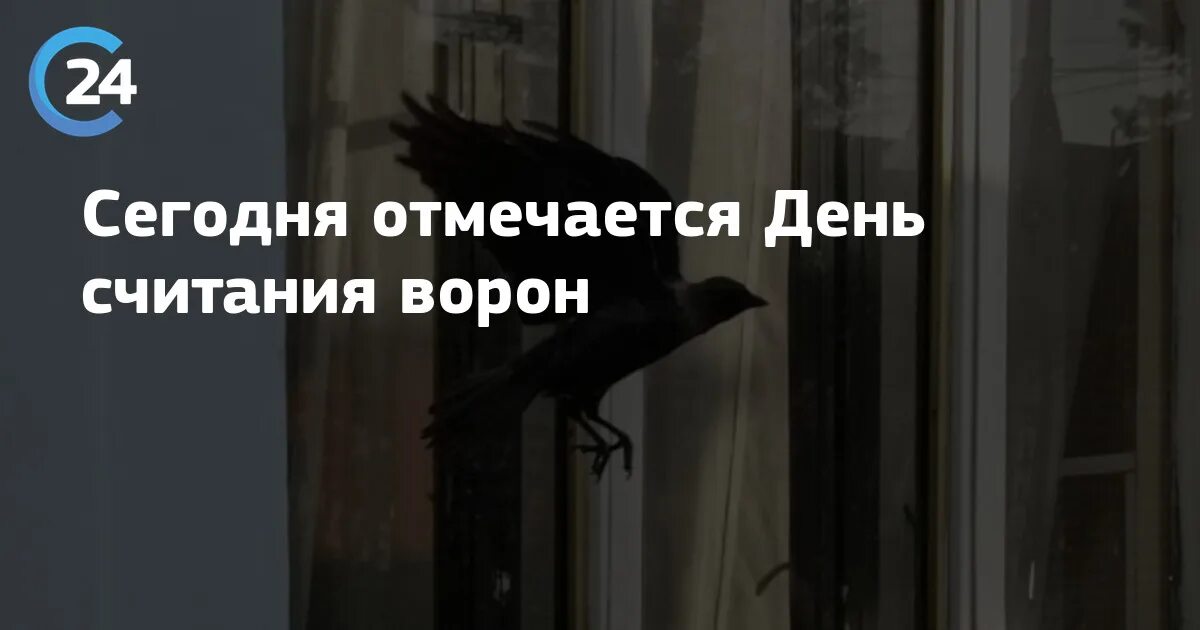 День считания ворон картинки прикольные. День считания ворон. День считания ворон 2. День считания ворон картинки.