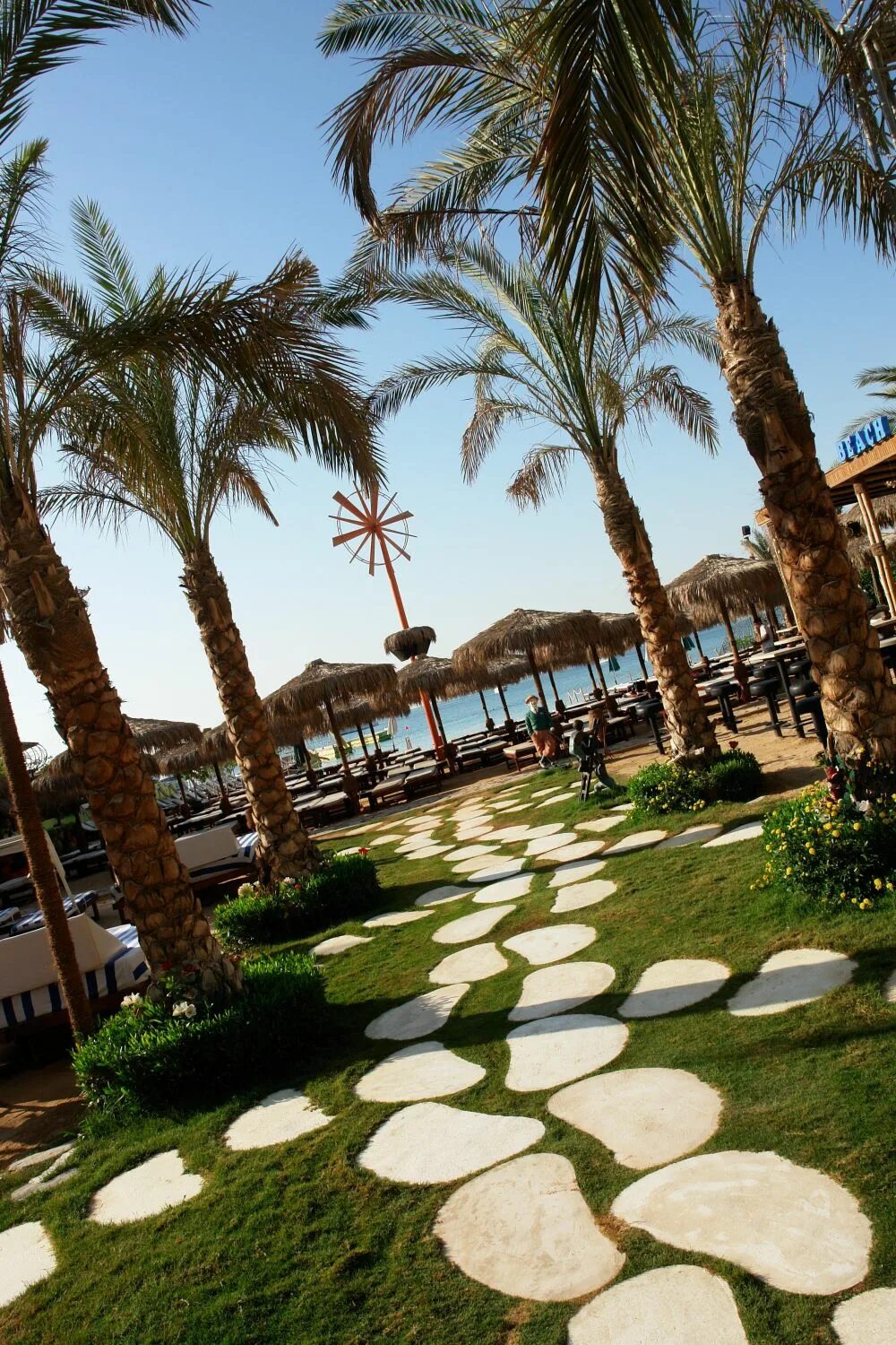 Elysees hotel hurghada 4. Elysees hotel hurghada. Elysees dream beach hotel 4*. Хургада dream beach hotel. Elysees hotel hurghada (ex.
