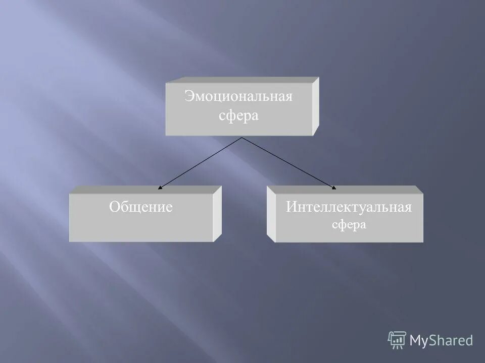 составляющие интеллектуальной сферы