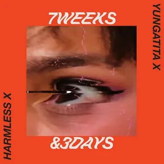 7 weeks 3 days