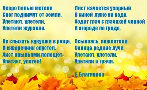Лист покрыл землю пестрым мягким шуршащим ковром