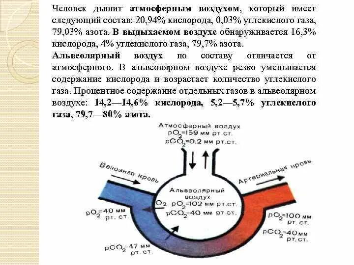 Увеличение азота в воздухе. Химическая схема дыхания. Дыхание кислород и углекислый ГАЗ. Химический процесс дыхания человека. Дыхание схема процесса химия.