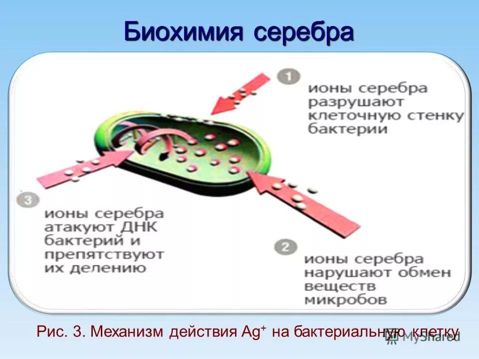 ионы серебра. размеры ионов серебра. ионы серебра что это. положительные ионы серебра. ионы серебра.