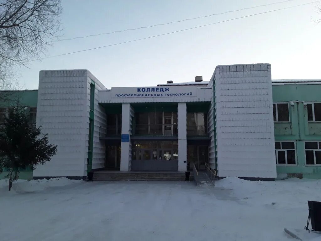 Омск колледжи дистанционно. Дистанционное обучение колледж искусств. Омск колледжи дистанционно. Омск колледжи дистанционно. Дистанционное образование в техникуме.