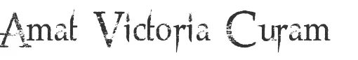 Victoria curam. Victoria curam
