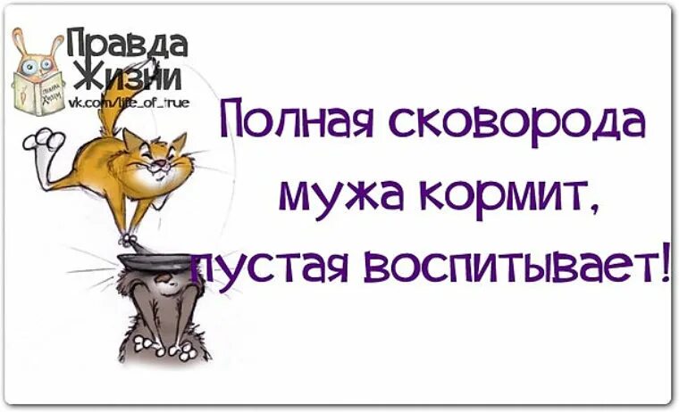 Правда жизни. Правда жизни юмор в картинках. Правда жизни приколы. Статус правда жизни.