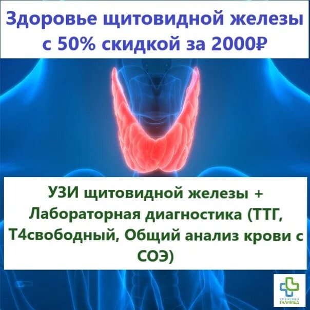 Эндокринолог щитовидная железа отзывы. Прием эндокринолога. Эндокринологи оренбурга лучшие по щитовидной железе. Эндокринолог. Щитовидная железа картинки.