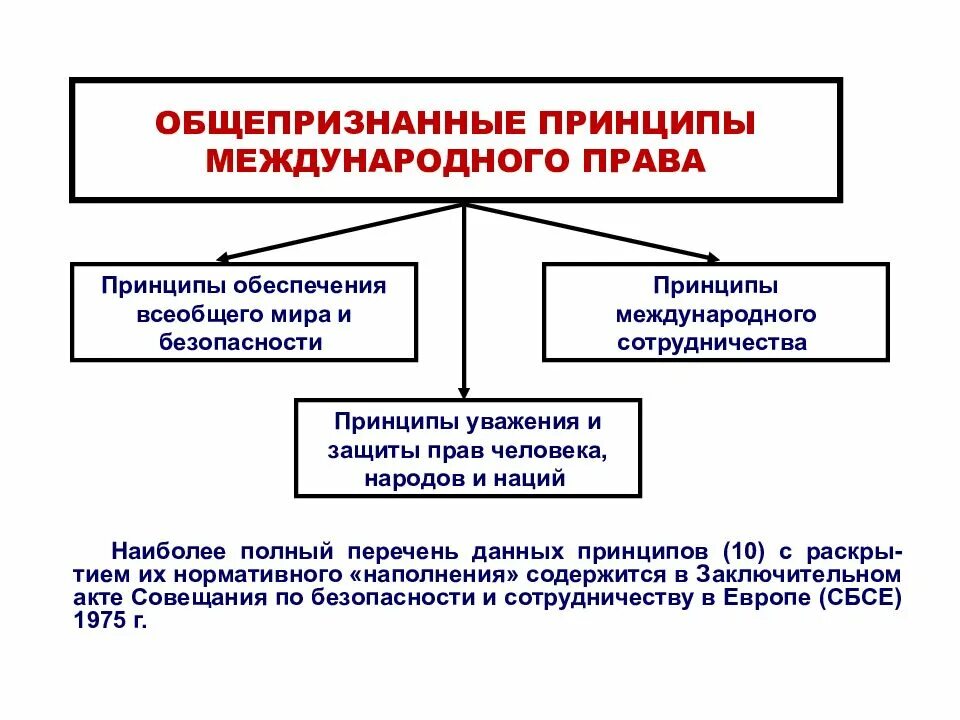 Общепризнанные принципы в рф. Международные принципы.