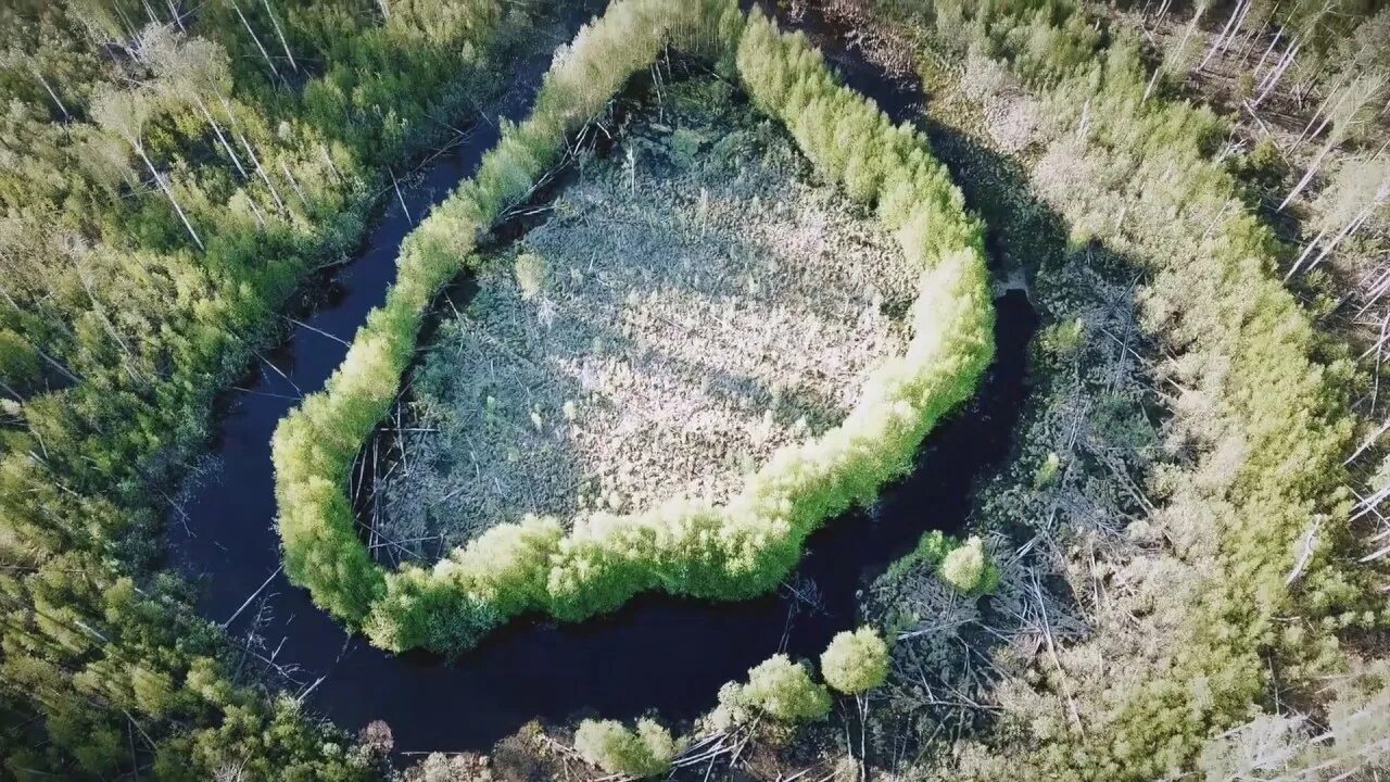 Внутреннее озеро. Остров с озером внутри. необычное озеро внутри леса. озеро внутри, которого остров. остров внутри острова.