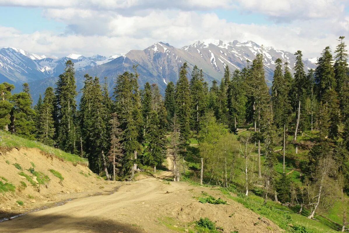 автодорога архыз. дукка — пхия. архыз серпантин. поляна таулу архыз 2022. посёлок таулу архыз.