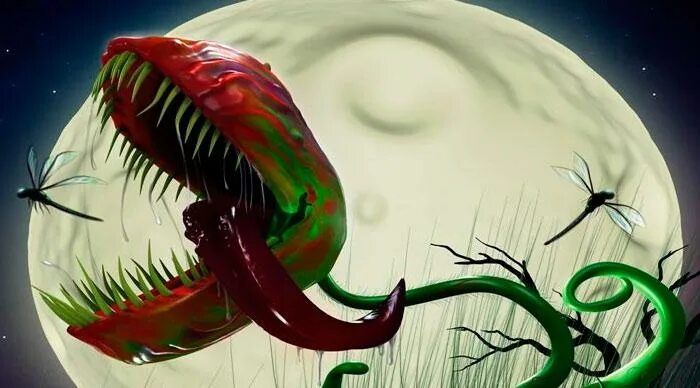 Красный калифорнийский червь. Муравьи пасут тлю. Муравьиная самка королева. Росянка монстр. Насекомоядные мухоловка.