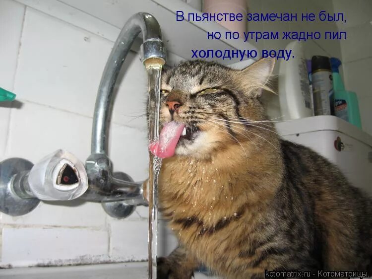 анекдот набери воду в рот. по утрам жадно пил холодную воду. ведро валерьянки. в пьянстве замечен не был,но по утрам пил холодную воду. в пьянстве замечен не был.