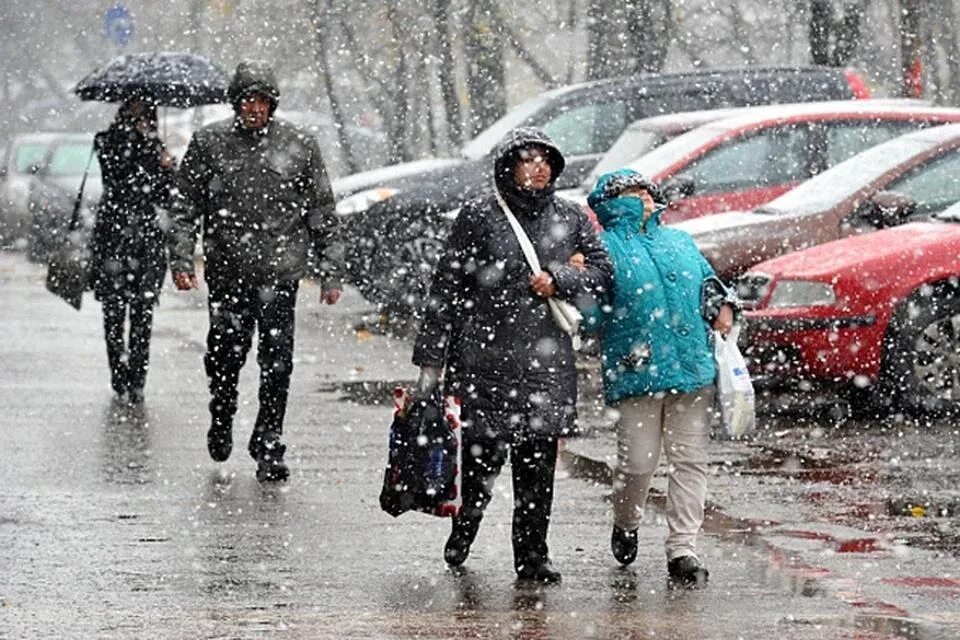 Погода заморозки. Заморозки в Москве. Заморозки Калуга. Снег в Калуге. Первые ночные заморозки Москва.