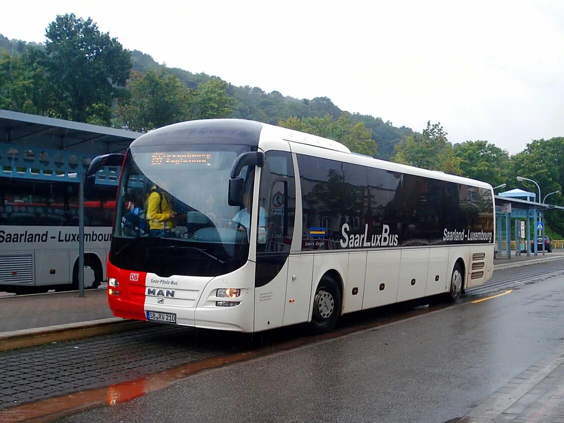 вдл 501 автобус. марка немецких автобусов. автобусы германии 2000. Mercedes-benz 1940 bus. Mercedes benz o 6600.