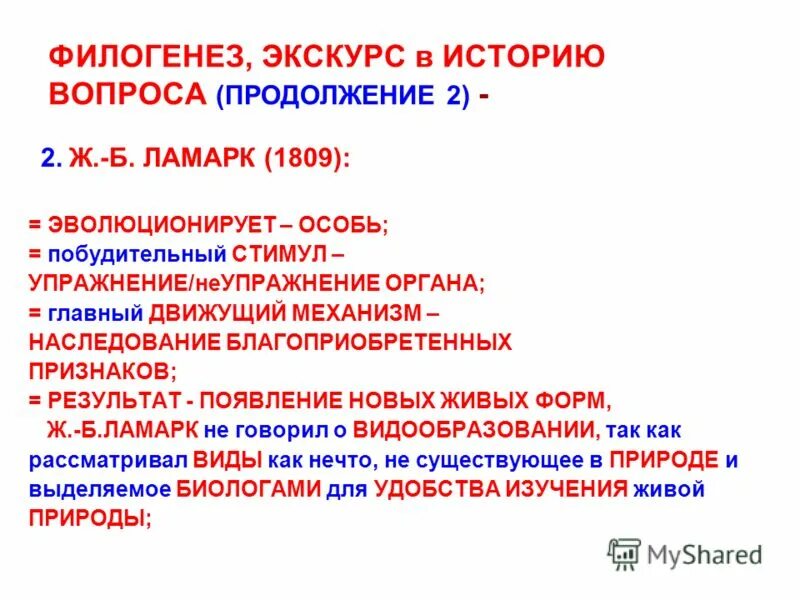 Филогенез органов