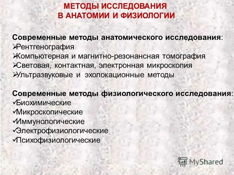 Исследовательская работа по анатомии. Исследовательская работа по анатомии