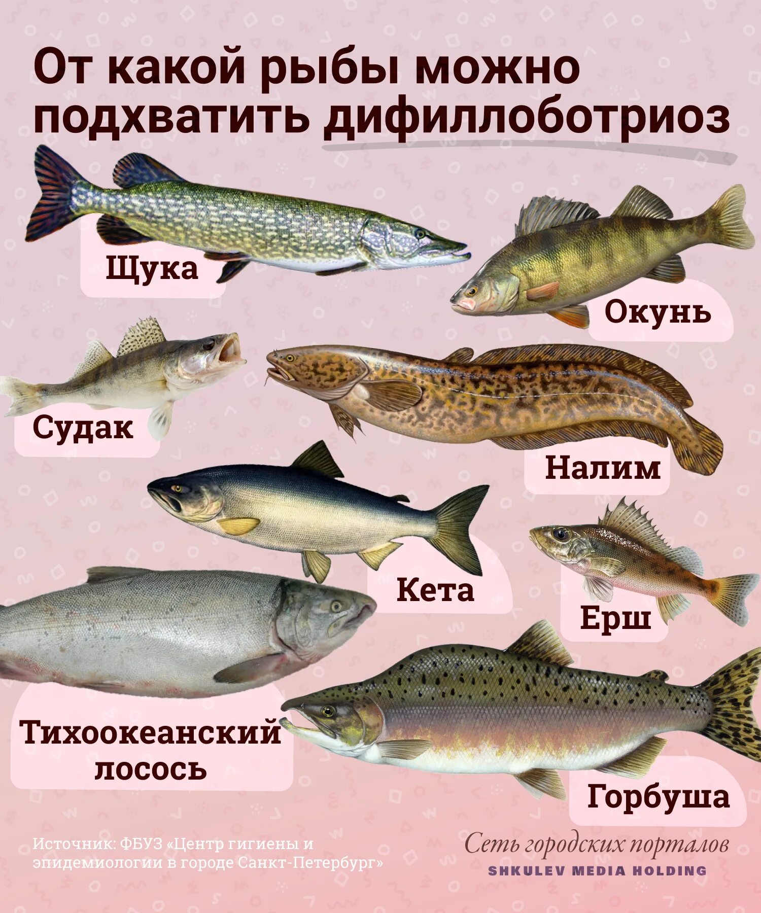 Почему рыба вредна. Рыбы семейства карповых описторхоз. Заболевания Речной рыбы.