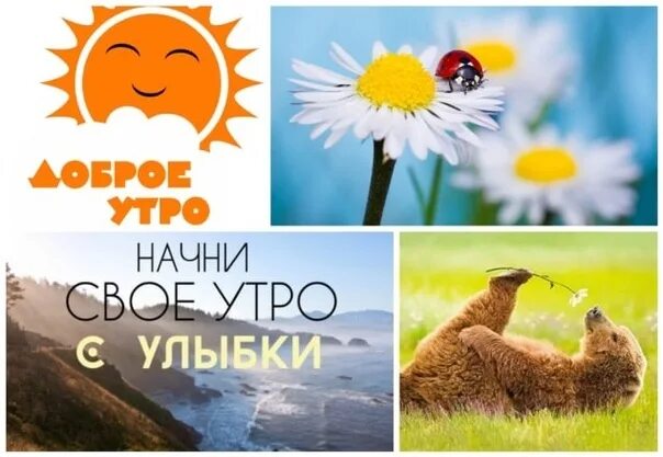 Доброе утро 11 октября 2024. Доброе утро воскресенье прикольные. с добрым утром воскресенья прикольные. доброе утро воскресенье картинки прикольные. с добрым утром воскресенья картинки прикольные.