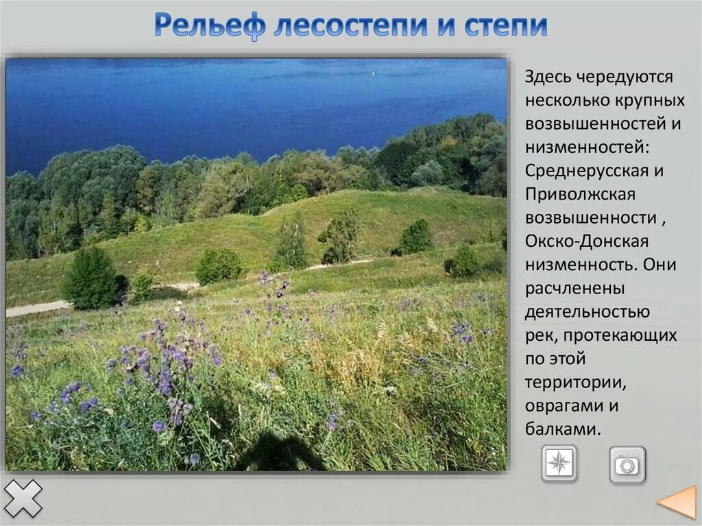 Восточно европейская равнина какая природная зона. Овраги Восточно-европейской равнины равнины. Рассказ о Восточно европейской равнине. Сообщение о Восточно-европейской. Юг Восточно-европейской равнины Тип почв.