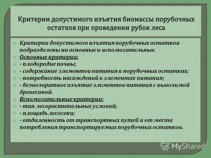 Критерии леса