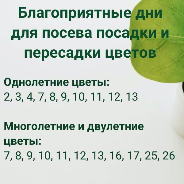 Посевной календарь на февраль 2023. Посевной календарь на 2023 год. Посевной календарь на февраль 2023 года. Лунно посевной календарь Кемеровская область. Посевной календарь на апрель месяц 2024 год