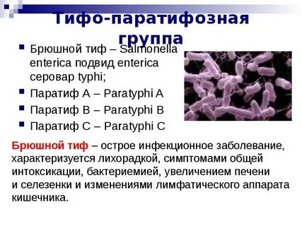 Группы кишечных инфекций возбудитель