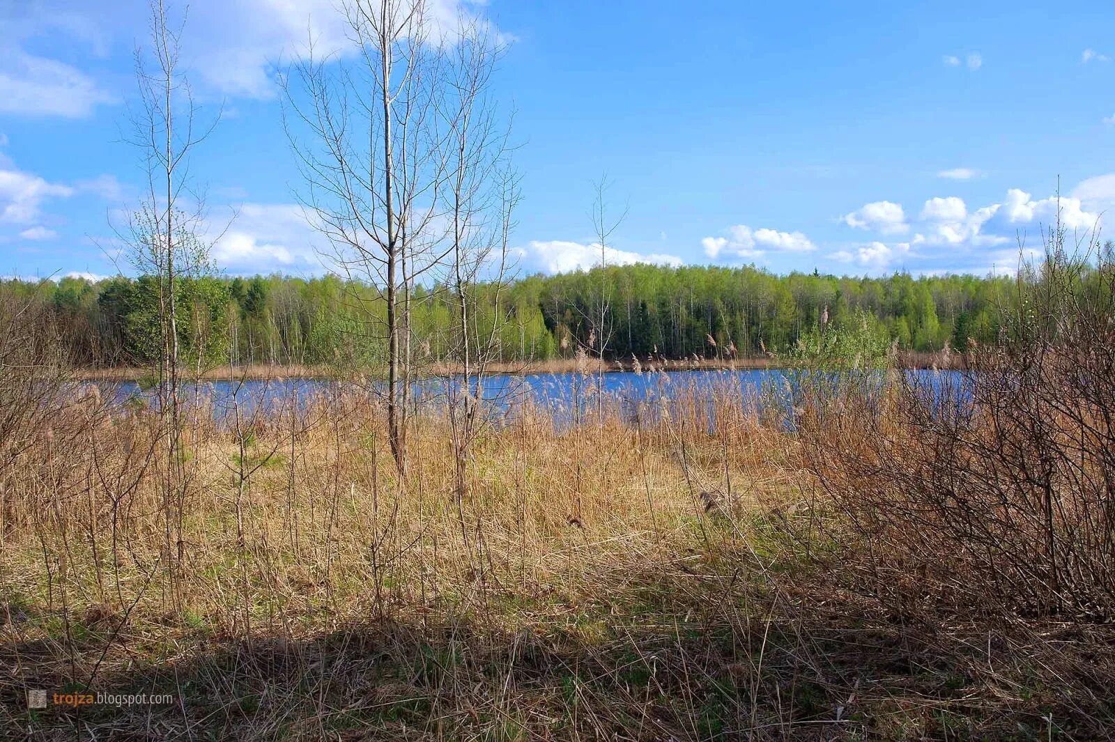 Полазненский бор. За́долго, задо́лго или задолго́. Юля дачник добрянка. Задолгое. Задолгое.