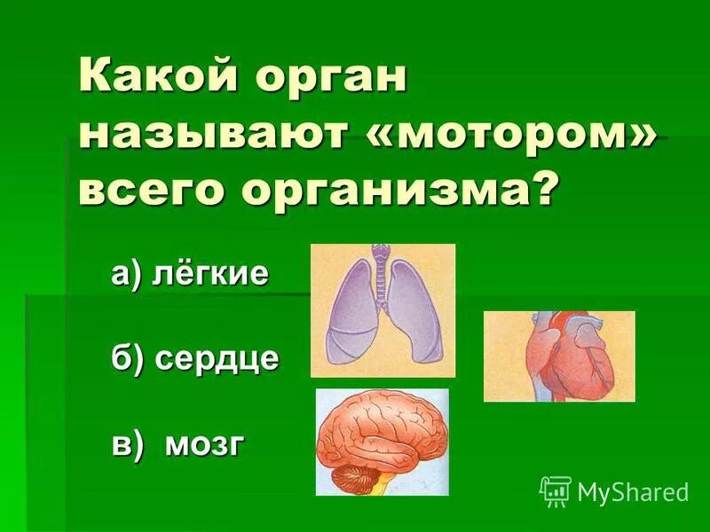 Какой орган является. Какой орган называют мотором. Легкие какой орган. Какой внутренний орган называют мотором. Какой орган человека называют двигателем.