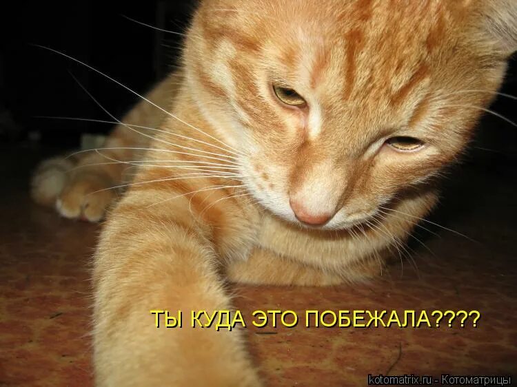 тютчев весенние воды стихотворение. стих никого не будет в доме кроме сумерек. алексей плещеев весна стих. литературное чтение 2 класс алексей плещеев весна. ф.