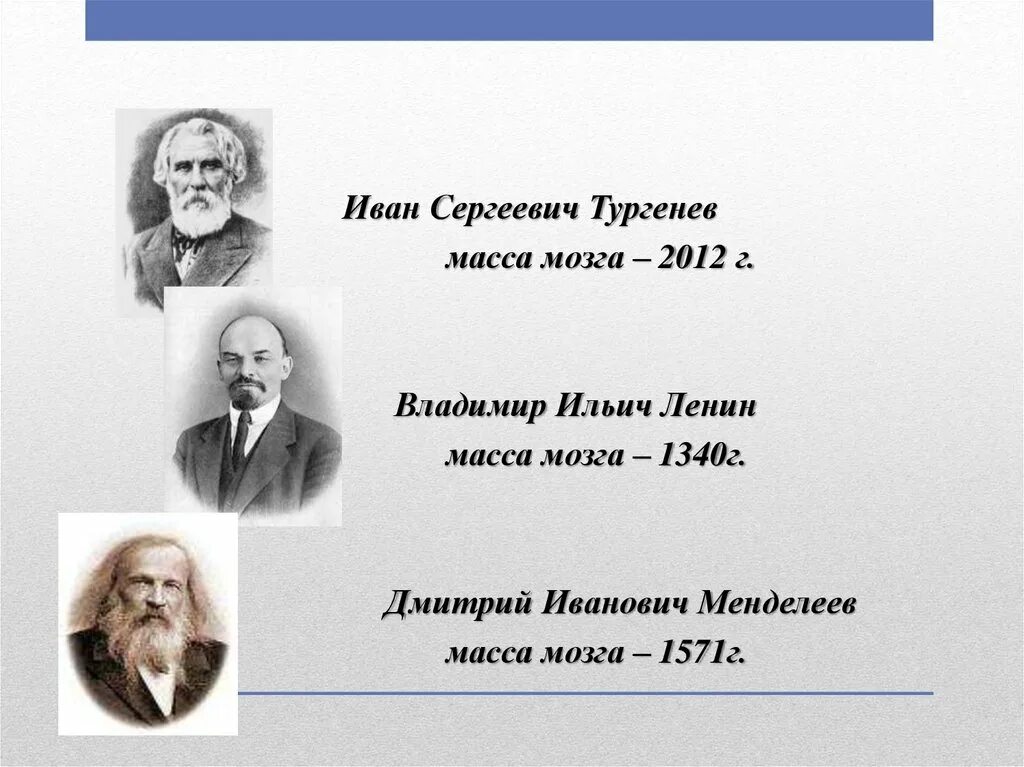 Мозги тургенева. Вес мозга тургенева ленина и менделеева. масса мозга тургенева. тургенев масса мозга. иван сергеевич тургенев мозг.
