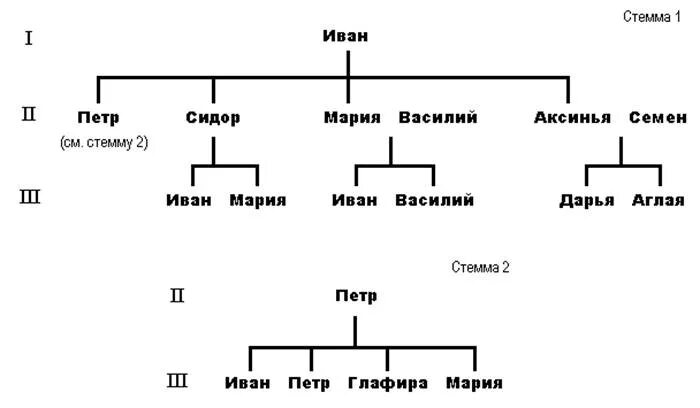 Какие родственники относятся к роду. Схема родственных связей дерево. Колено (генеалогия). Колена в генеалогическом дереве. Что такое родословное колено.