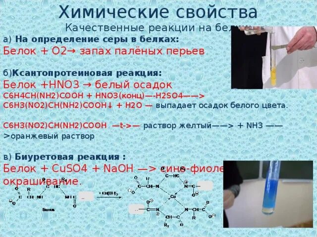 Биуретовая реакция с глицином. Альбумин биуретовая реакция. Белок cuso4 реакция. Реакции кислот. Kno2 hno2