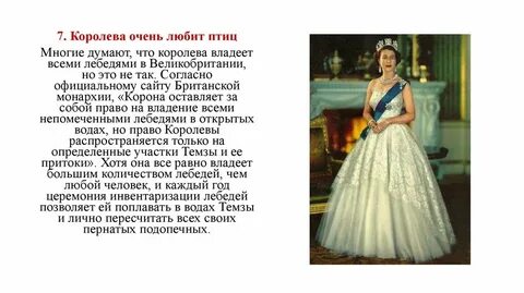 Класс королевы содержание