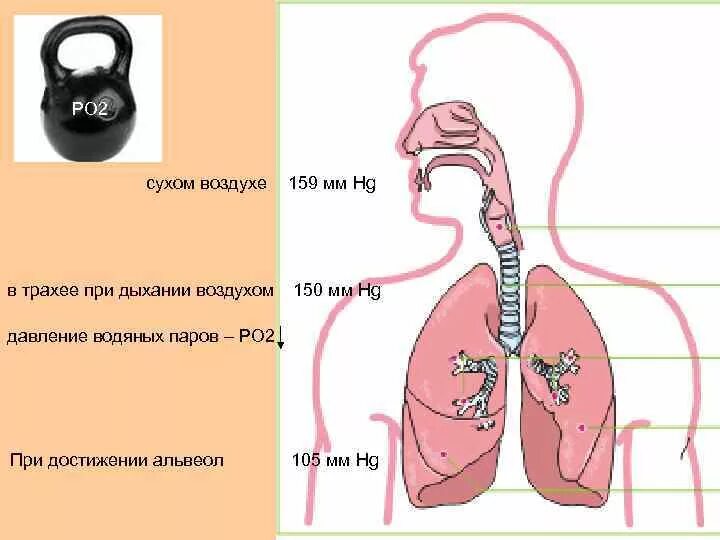 Дыхание сухим воздухом